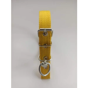 Küçük Irk Köpek Tasmasi Boy 50 cm En 2.5 cm