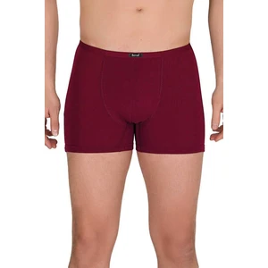 4488 Modal Likralı Ince Kemer Erkek Boxer