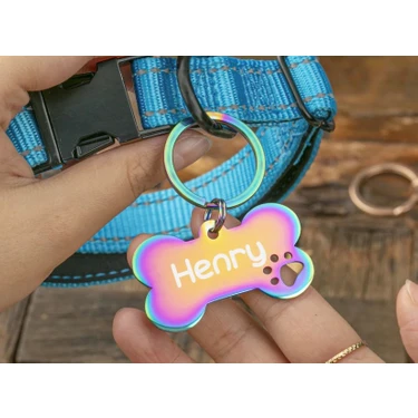 Patimio Isimli Rainbow Çelik Kedi Köpek Künyesi 316L Paslanmaz ve Dayanıklı