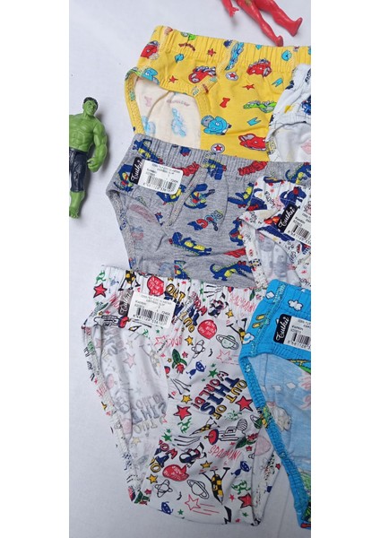Erkek Çocuk Desenli Rengarenk Pamuklu Çok Renkli Slip Külot 6'lı indirimleri