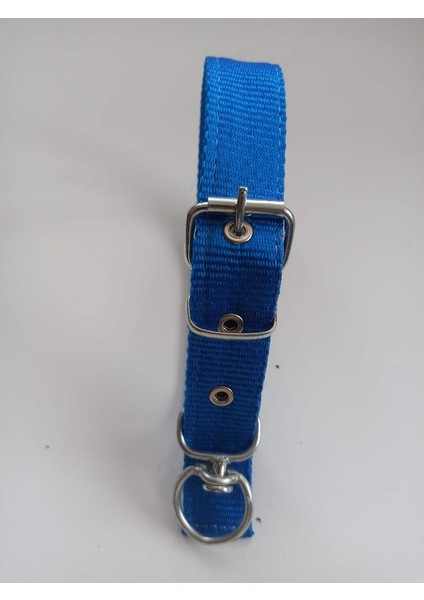 Orta Irk Köpek Tasmasi Boy 60 En 3 cm