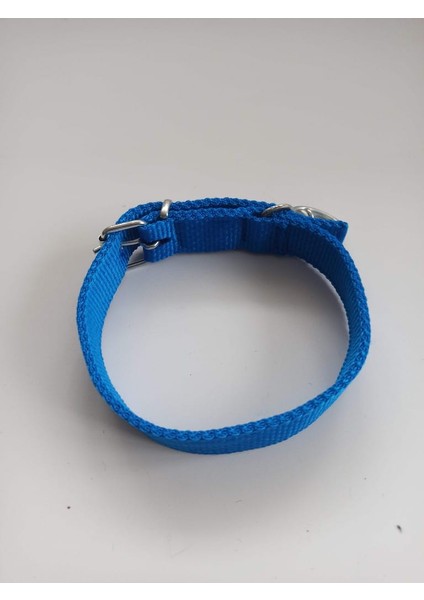 Orta Irk Köpek Tasmasi Boy 60 En 3 cm fiyatları