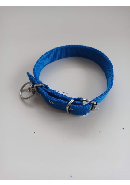 Orta Irk Köpek Tasmasi Boy 60 En 3 cm modelleri
