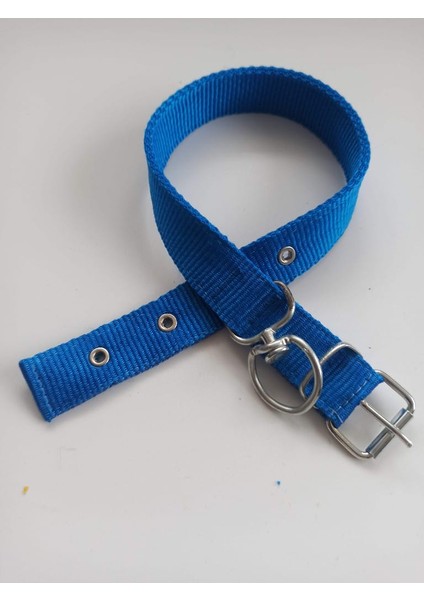 Orta Irk Köpek Tasmasi Boy 60 En 3 cm fırsatları