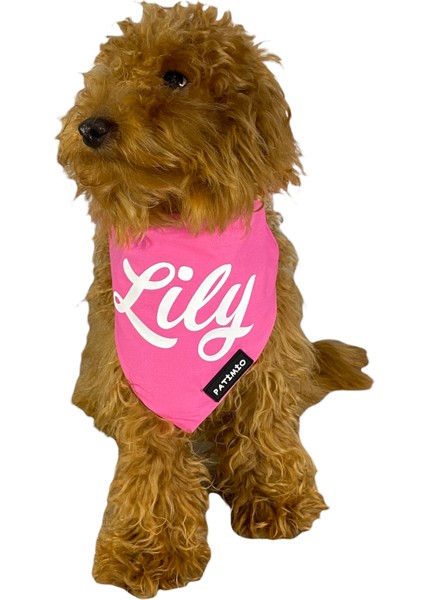 Isimli Pink Tasma Fular Bandana modelleri