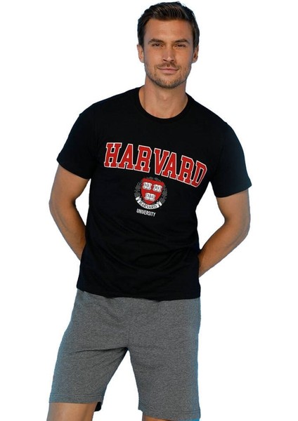 Erkek Tişört Harvard Logo 101106043