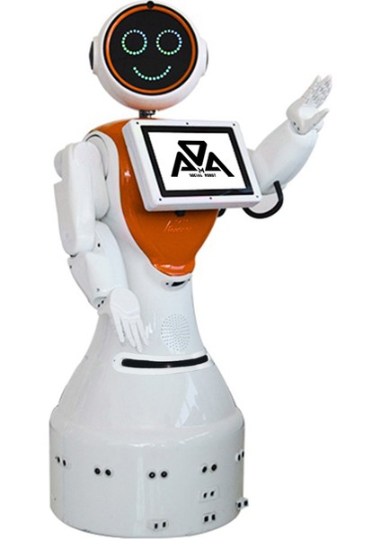 Akınrobotics Mini Ada İnsansı Robot