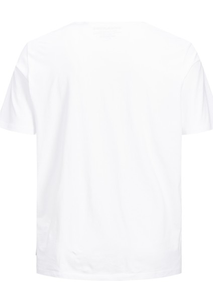 Organik Pamuk Düz Tisört-12158482 modelleri