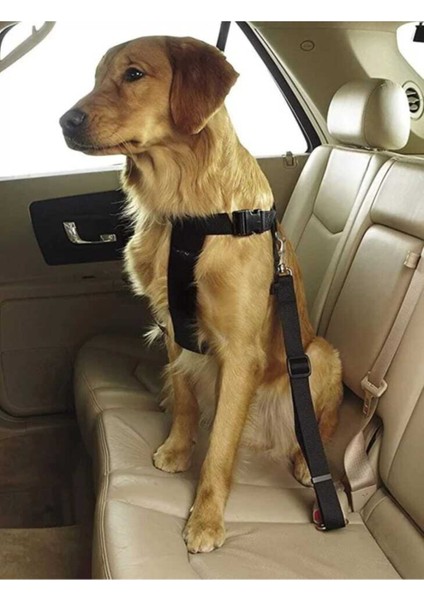 Araç Içi Köpek Kedi Tasması Oto Emniyet Kemeri Evcil Hayvan Boyun Araç Tasma Kemeri fiyatları