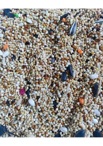 Karışık Pareket Papağan Yemi Granüllü 5kg