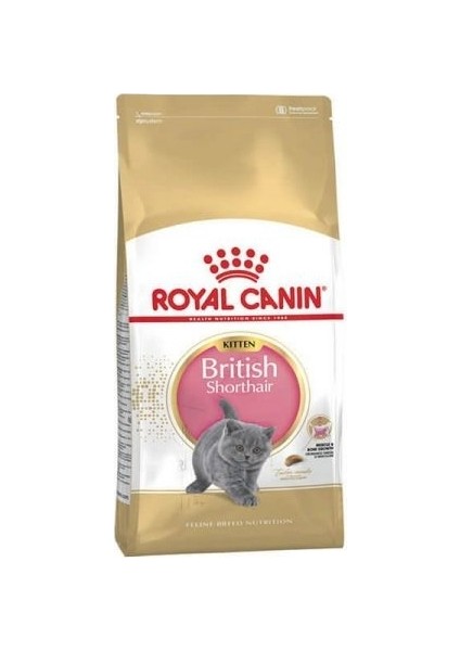 British Shorthair Kitten Yavru Kedi Maması 2 kg