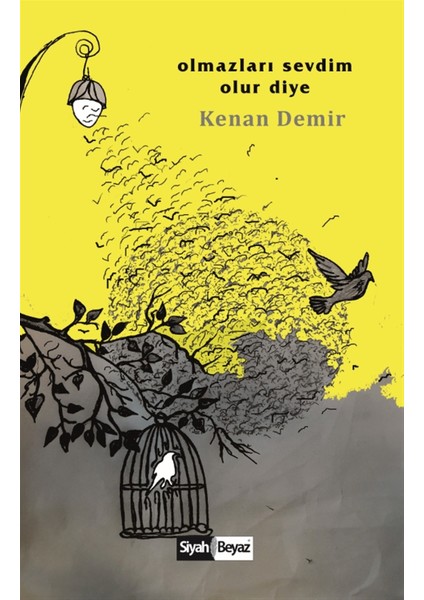 Olmazları Sevdim Olur Diye - Kenan Demir