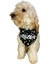 Isimli Gold Stars Tasma Fular Bandana 3