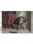 Dostlar Koleksiyonu DK18 - Köpekler Pirinç Dekopaj 30*42 cm 1