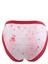 0541 Leona 6'lı Paket Dantelli Desenli Bayan Elastan Bikini Külot 4
