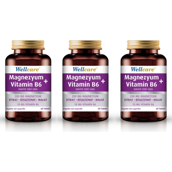 Wellcare Magnezyum + Vitamin B6 60 Tablet 3 Kutu Fiyatı
