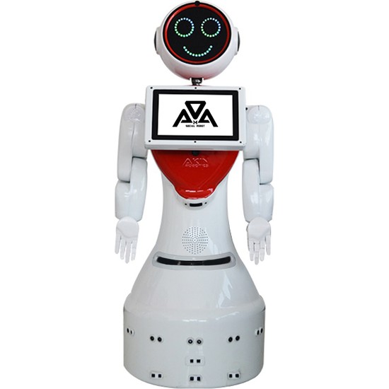 Akınrobotics Mini Ada İnsansı Robot