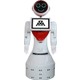 Akınrobotics Mini Ada İnsansı Robot
