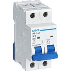 Chint 2p 63A 6ka Otomatik Sigorta