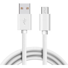 Raintech 1 Metre 3.1 Amper Hızlı Şarj Akım Korumalı Micro Quıck Şarj Usb&data Kablo