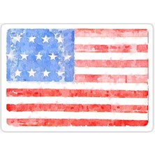 TSC Araba Için Amerikan Bayrağı Sticker Yapıştırması Etiket 17CM Z1