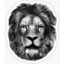 TSC Araba Için Aslan Oto Sticker Yapıştırması Etiket  17CM Z1
