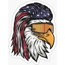 TSC Araba Için Havalı Kartal Sticker Yapıştırması Etiket Oto 17CM Z1