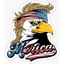 TSC Araba Için Havalı Kartal Sticker Yapıştırması Etiket Oto 17CM Z5