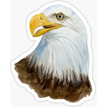 TSC Araba Için Kartal Oto Sticker Yapıştırması Etiket  17CM A6