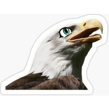 TSC Araba Için Kartal Oto Sticker Yapıştırması Etiket  17CM Aa2