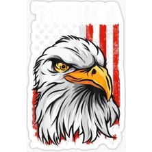 TSC Araba Için Kartal Oto Sticker Yapıştırması Etiket  17CM D3