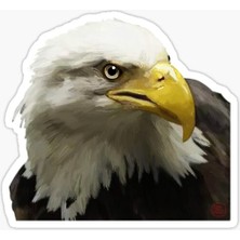 TSC Araba Için Kartal Oto Sticker Yapıştırması Etiket  17CM Q2