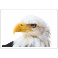 TSC Araba Için Kartal Oto Sticker Yapıştırması Etiket  17CM R1