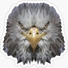 TSC Araba Için Kartal Oto Sticker Yapıştırması Etiket  17CM R5