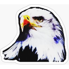 TSC Araba Için Kartal Oto Sticker Yapıştırması Etiket  17CM R6