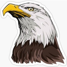 TSC Araba Için Kartal Oto Sticker Yapıştırması Etiket  17CM S2