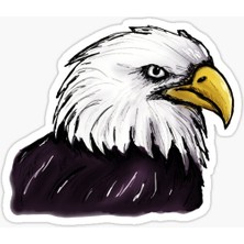 TSC Araba Için Kartal Oto Sticker Yapıştırması Etiket  17CM S3