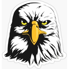 TSC Araba Için Kartal Oto Sticker Yapıştırması Etiket  17CM W6