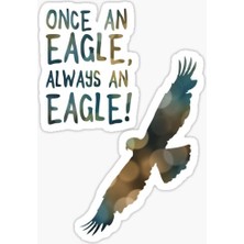 TSC Araba Için Kartal Oto Sticker Yapıştırması Etiket  17CM Z3