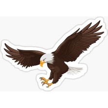 TSC Araba Için Kartal Oto Sticker Yapıştırması Etiket  17CM Z4