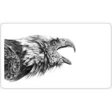 TSC Araba Için Kartal Oto Sticker Yapıştırması Etiket  17CM Z8
