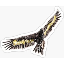 TSC Araba Için Kartal Oto Sticker Yapıştırması Etiket  17CM Zz2