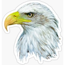 TSC Araba Için Kartal Sticker Yapıştırması Etiket Oto Leptop 17CM Z1