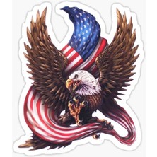 TSC Araba Kartal Sticker Yapıştırması Etiket Amerikan Bayrağı 17CM A2