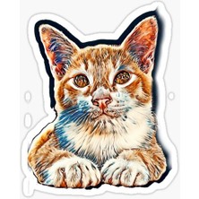 TSC Araba Leptop Için Kedi Oto Sticker Yapıştırması Etiket  17CM Z1