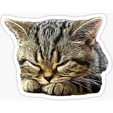 TSC Araba Leptop Için Kedi Tekir Sticker Yapıştırması Etiket  17CM A5