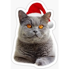 TSC British Shorthair Kedi Araba Oto Sticker Yapıştırma Etiket 17CM Z5