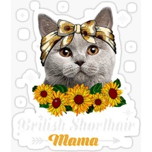 TSC British Shorthair Kedi Araba Oto Sticker Yapıştırma Etiket 17CM Z7