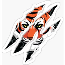 TSC Pençe Kaplan Araba Oto Sticker Yapıştırma Etiket 17CM TW26