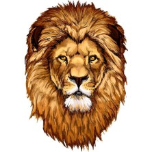 TSC Renkli Aslan Araba Oto Sticker Yapıştırma Etiket 17CM H5